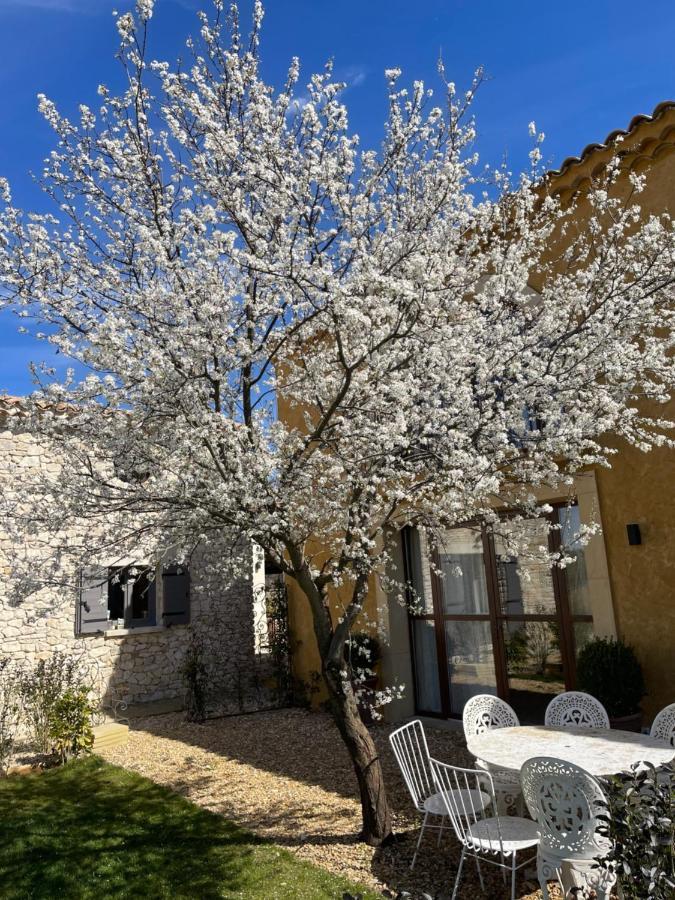 Domaine D'Egenia Villa Roussillon  Exterior photo