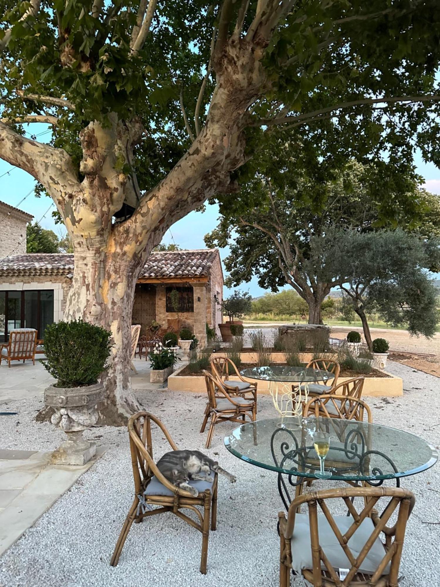 Domaine D'Egenia Villa Roussillon  Exterior photo